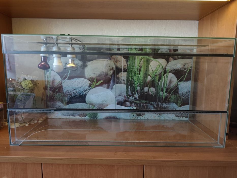 Terrarium szklane 100×40×50 cm używane | Poznań