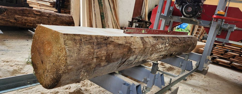 pily tasmowe brzeszczoty