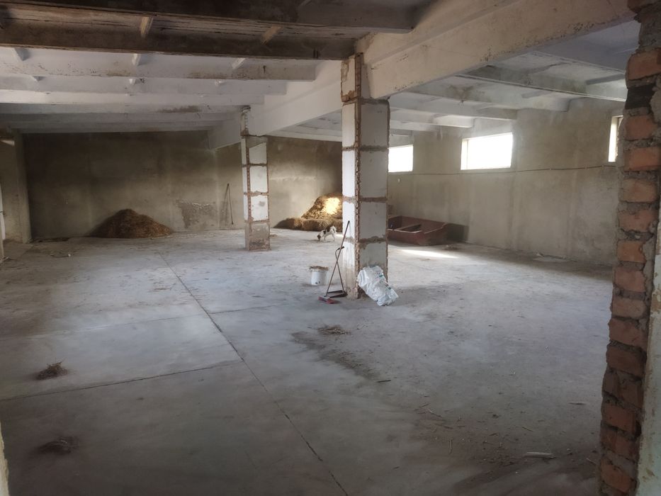 Здам в оренду овочесховище,виробничий цех та склади