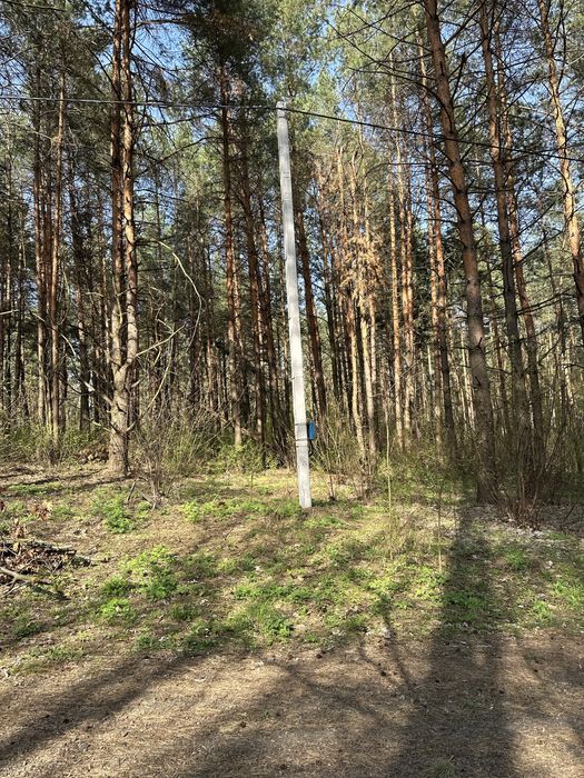 Ділянка 1 гектар в елітному районі Дмитрівки, ліс, асфальт, електрика