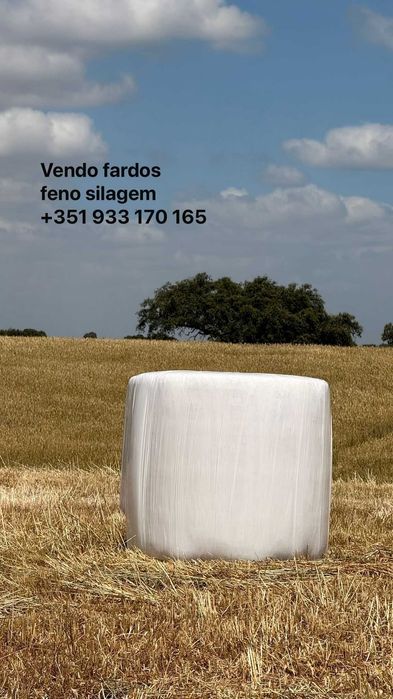 Fardos de Feno e Fenosilagem MPB,   mistura de triticale e azevém.
