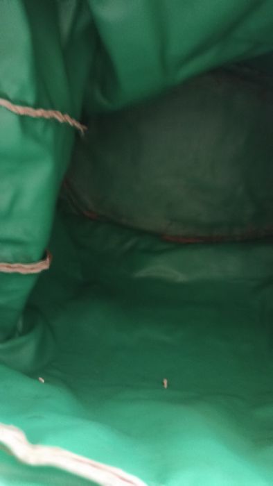 Conjunto de dois sacos de viagem +pochete em pêlo de antílope vintage