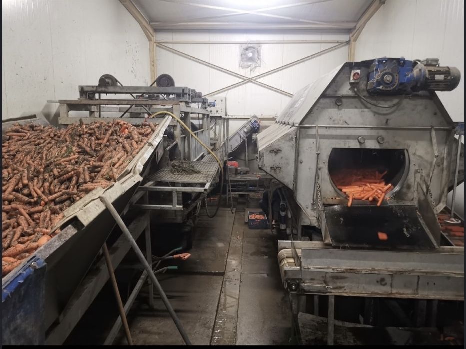 Szczotkarka polerka Haith do warzyw