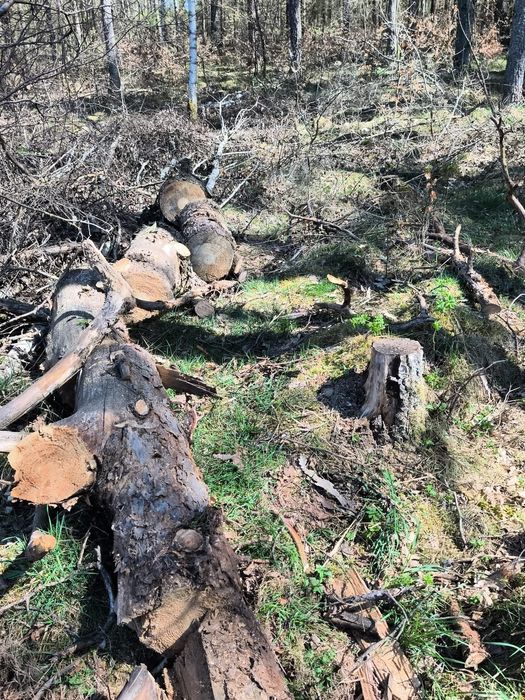 Drewno opałowe kominkowe , tanio