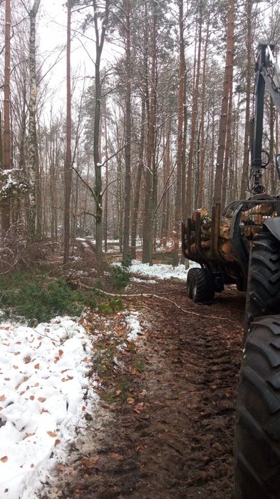 Wycinka drzew, inne usługi ogrodnicze