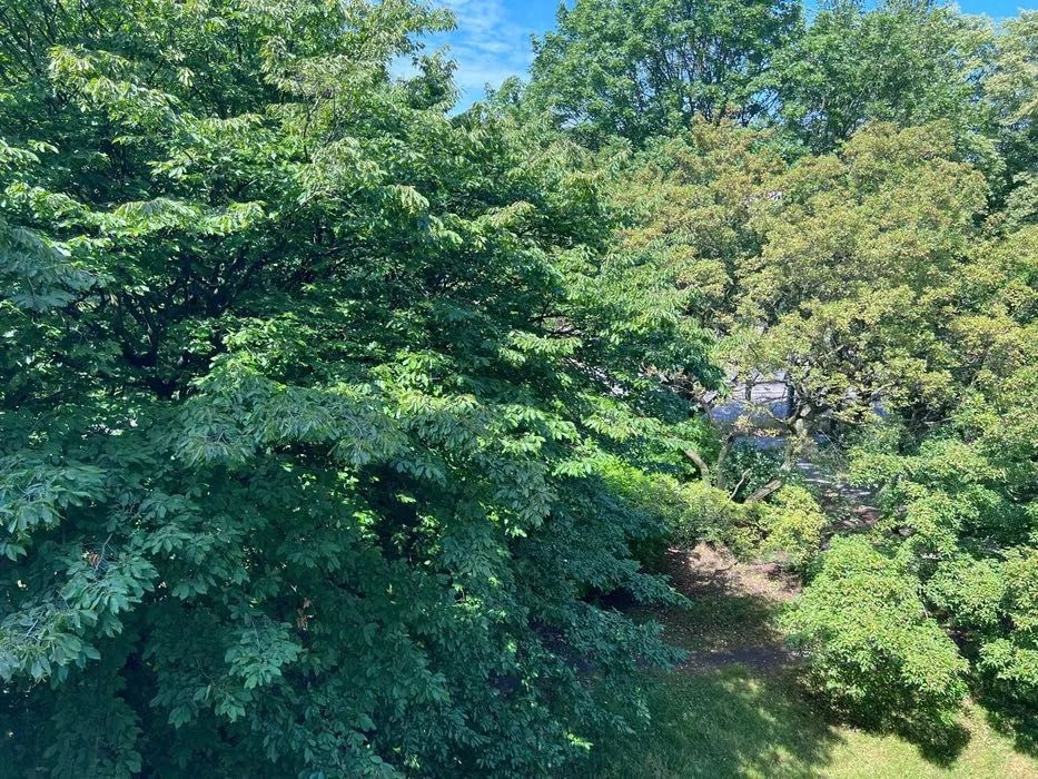 Mieszkanie – Gdynia - Widok 5