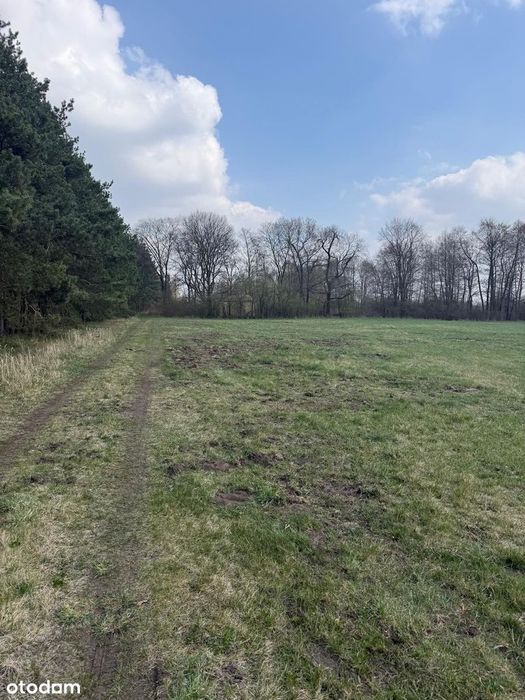 Zjawiskowa działka 1.34ha-możliwość zabudowy. - Widok 5