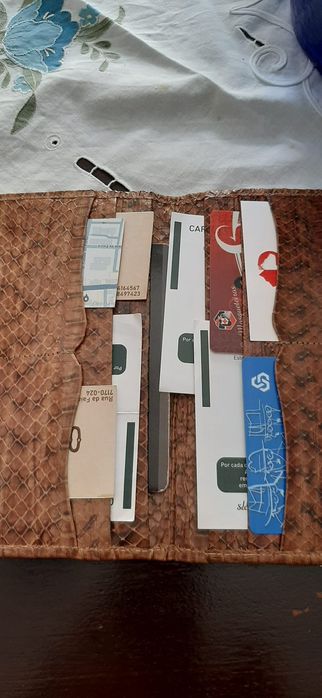 Carteira em pele de cobra