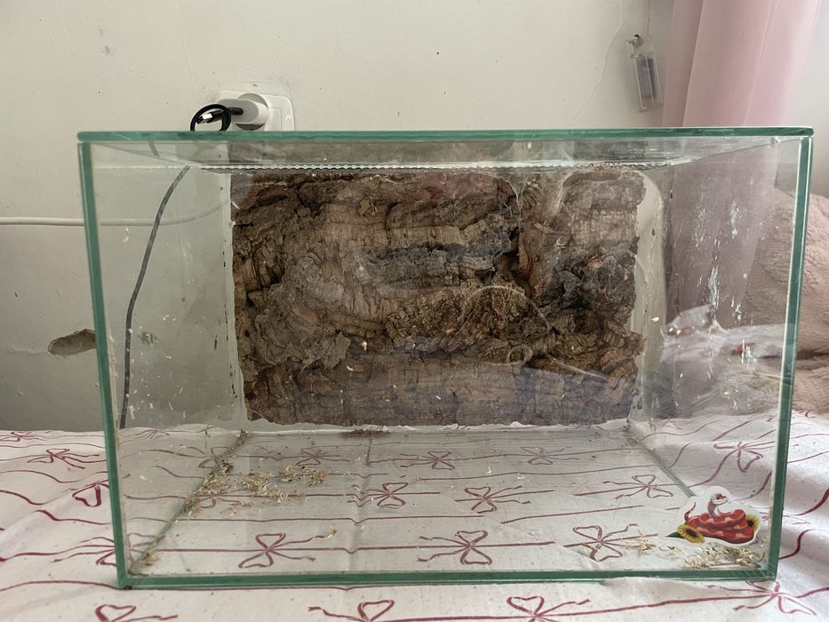 Terrarium szklane