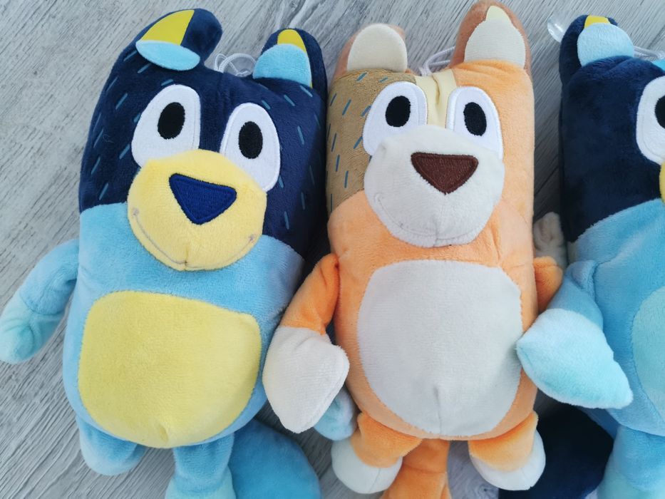 Rodzina Bluey i Bingo