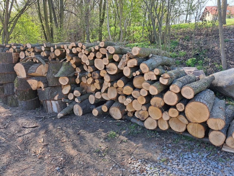 Drzewo na opał, dąb, klon, lipa.