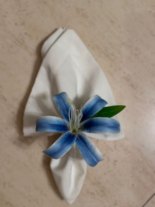 New Napkin Holder482721235280209920