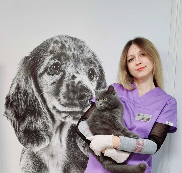 Стрижка котів на дому