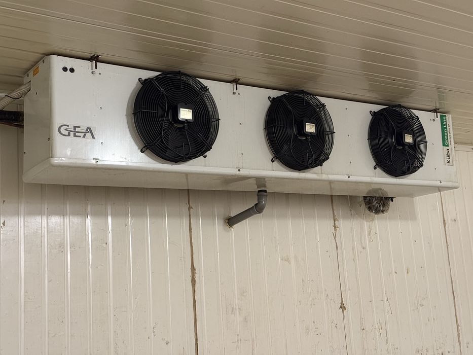 Оренда холодильної камери, холодильне приміщення 102кв/м.