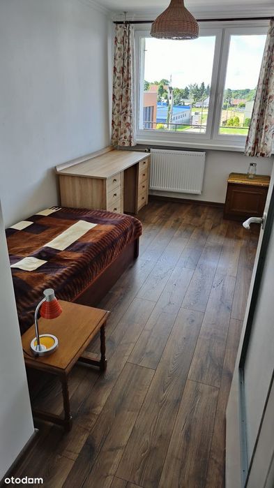Zdjęcie 3