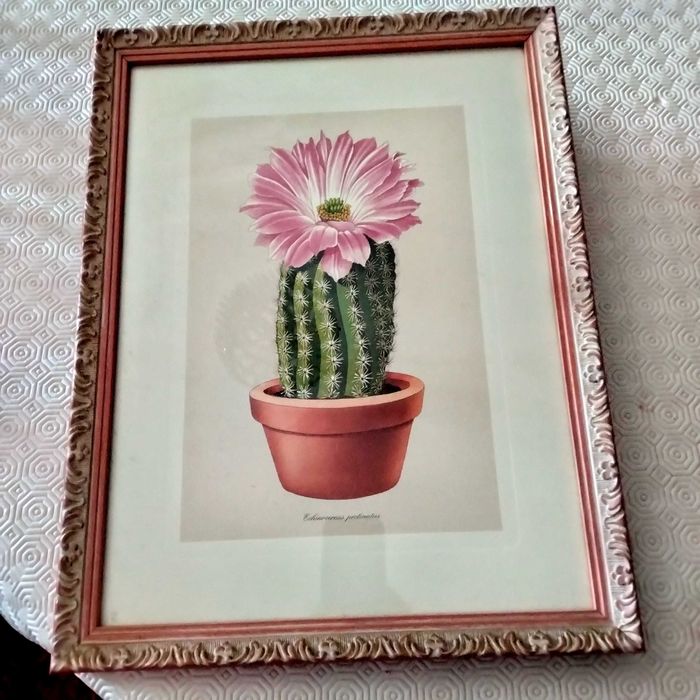 Conjunto de Quadros