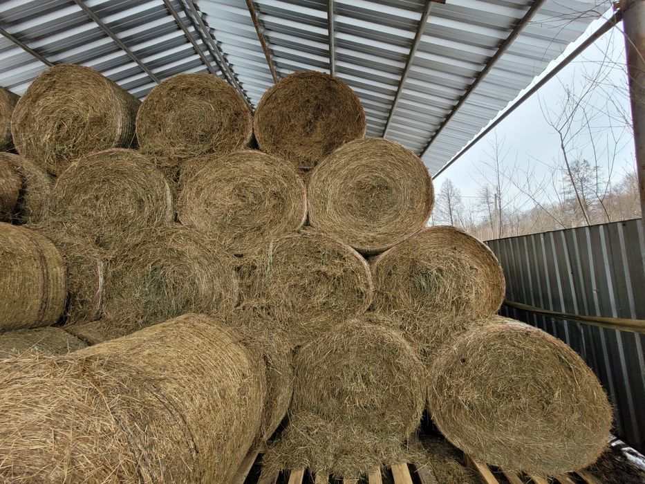 Sprzedam siano rolki dla koni