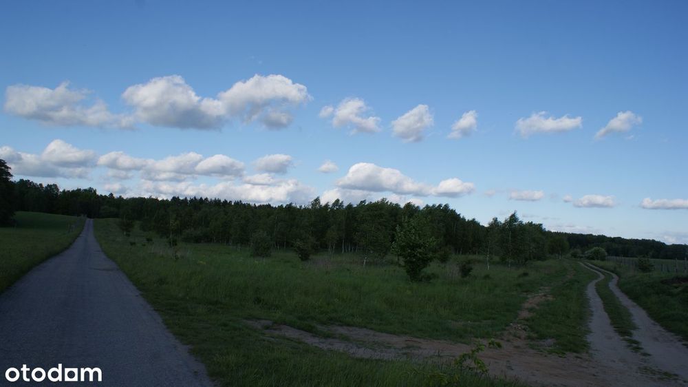 Działki - Ścienne - Ińsko