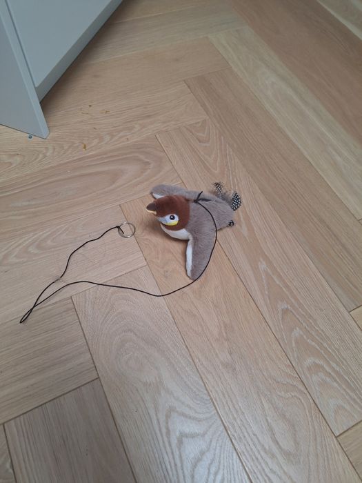 Ptaszek.interaktywny