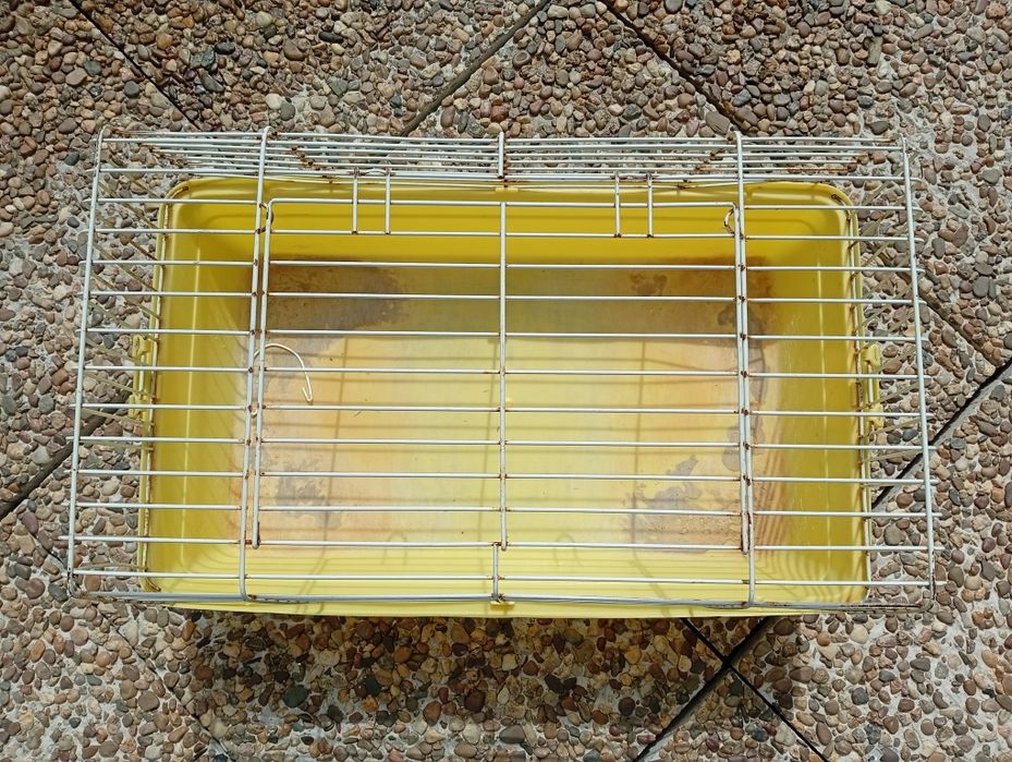 Gaiola para coelho anão