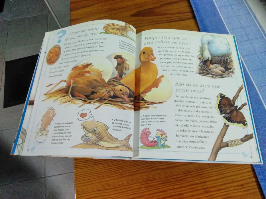 Livro - Porque será...