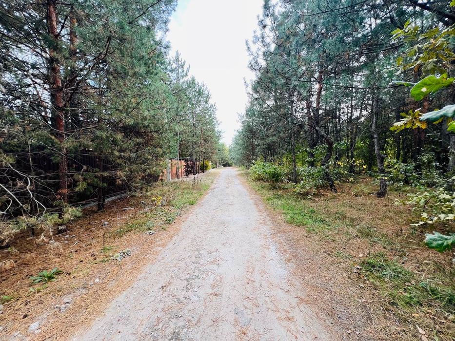 Продаётся участок в Обуховке на Заречной с выходом в сосновый лес