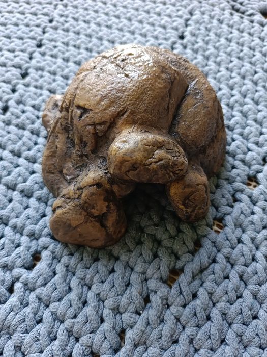 Terrarium dla węża z wyposażeniem