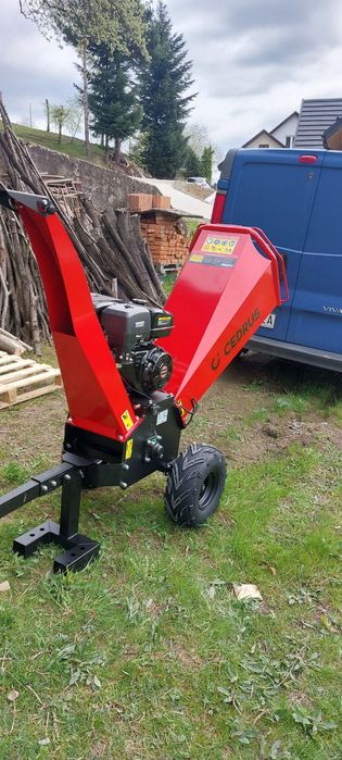 Profesjonalna wycinka drzew i porządkowanie terenu