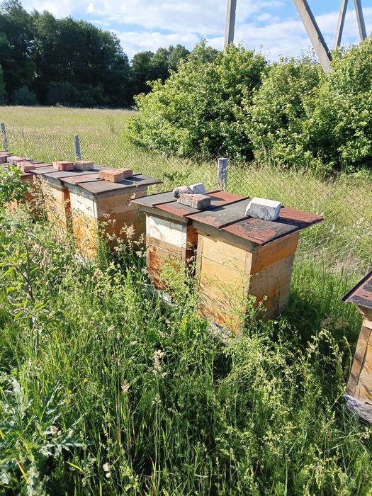 Продам українські  вулики, з магазинам на 147 рамкуи