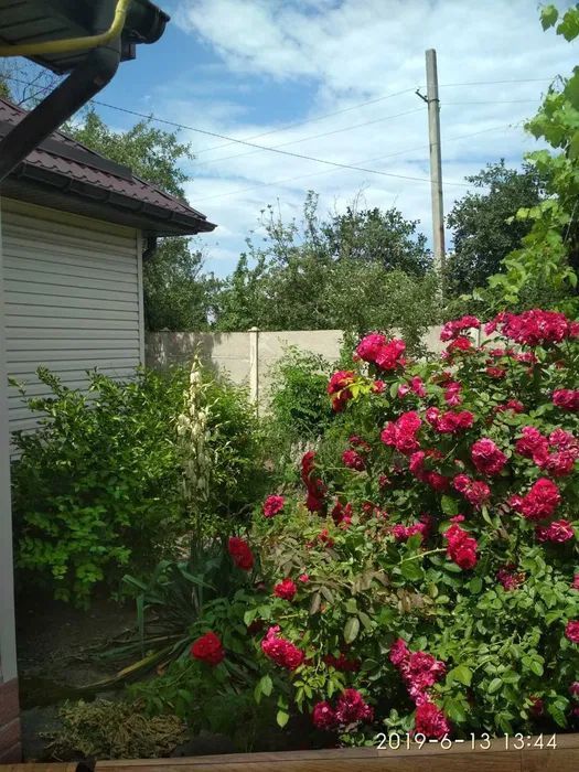 Продам дом в Знаменовке Днепропетровская область