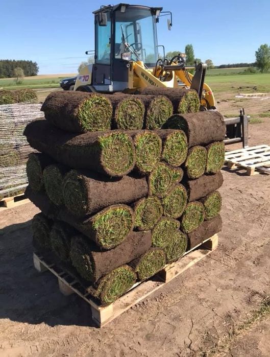 Trawa w rolce 'PREMIUM'  | Producent