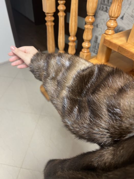 Норкова шуба норкова шуба