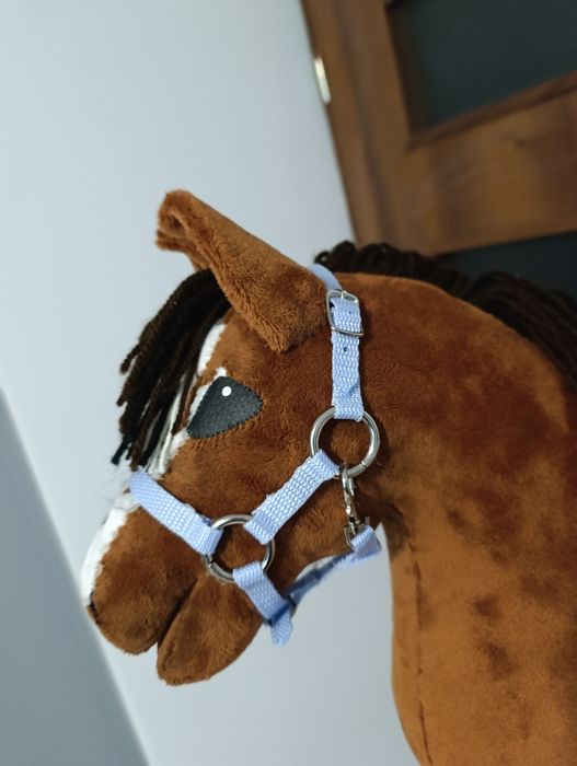 kantar dla hobby horse