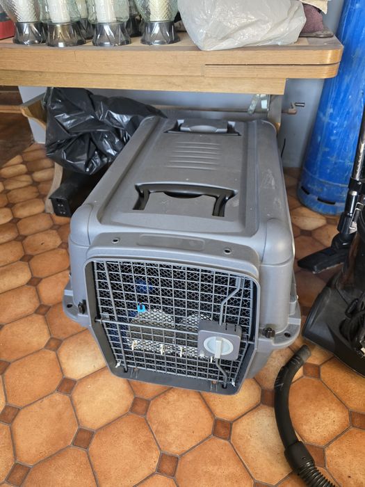 Transportery dla zwierząt