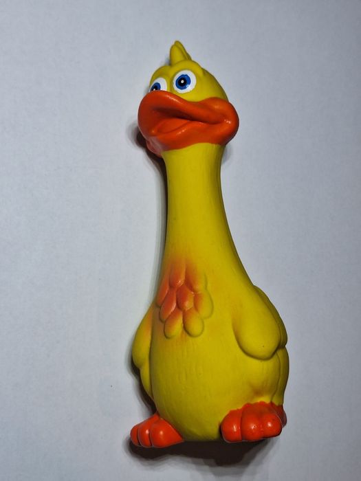 Zabawka,  gryzak dla psa