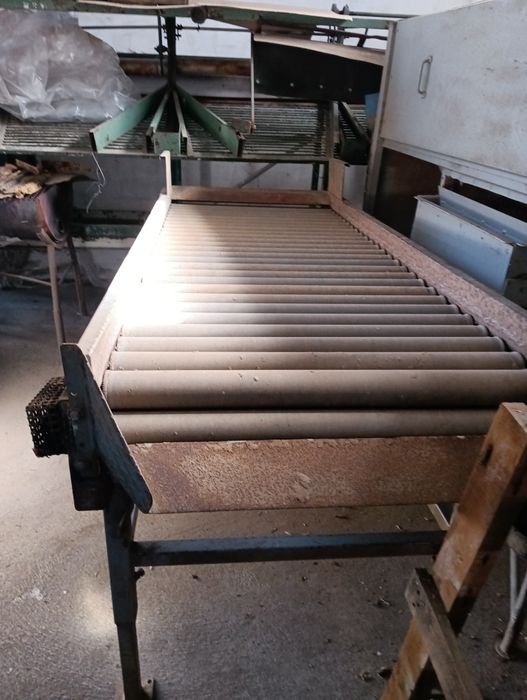Mesa de escolha em rolos para batatas ou cebola