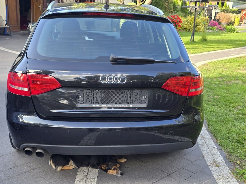 Części Audi A4 B8 przedlift 07-11 Europa LY9B LZ9Y LY7G