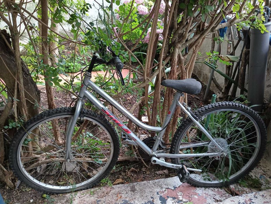 Bicicleta , sintra