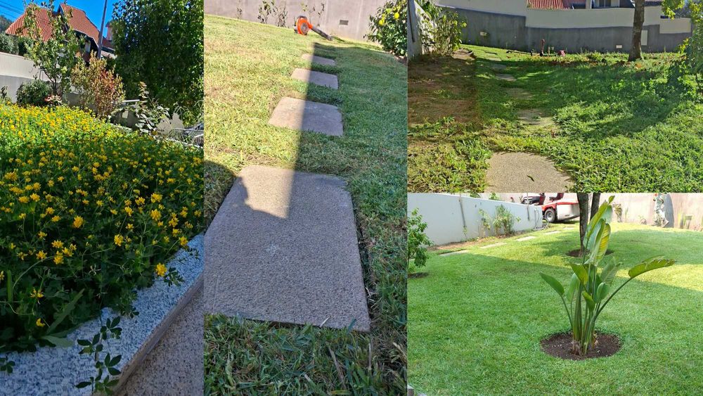 Construção e Manutenção de Jardins em Gaia.