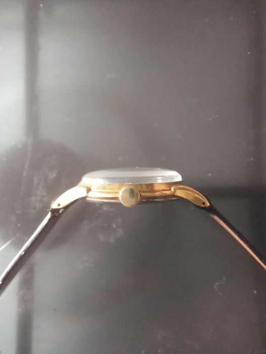 Olma suíço caixa grande!