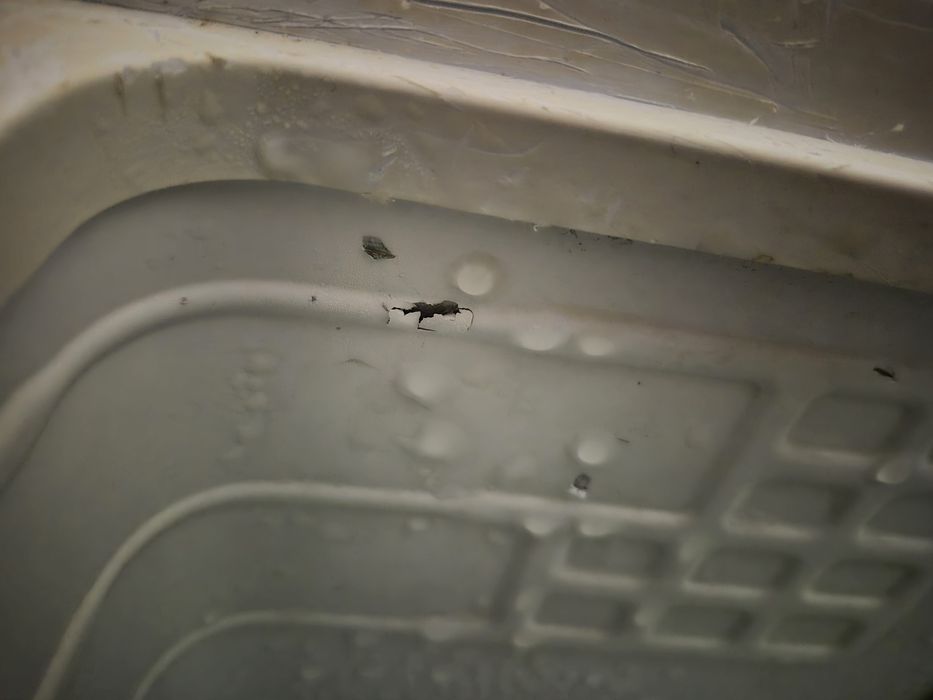 Вітдам даром з самовивозом холодільник