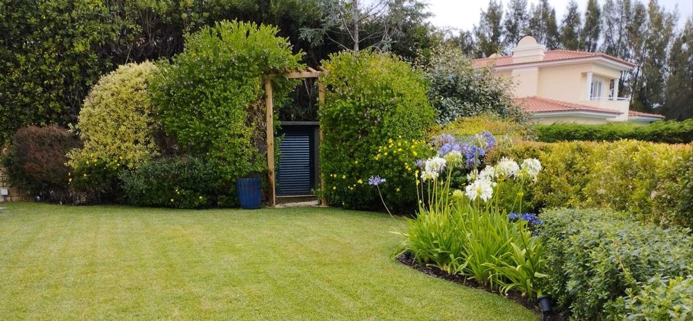 Jardinagem Manutençao