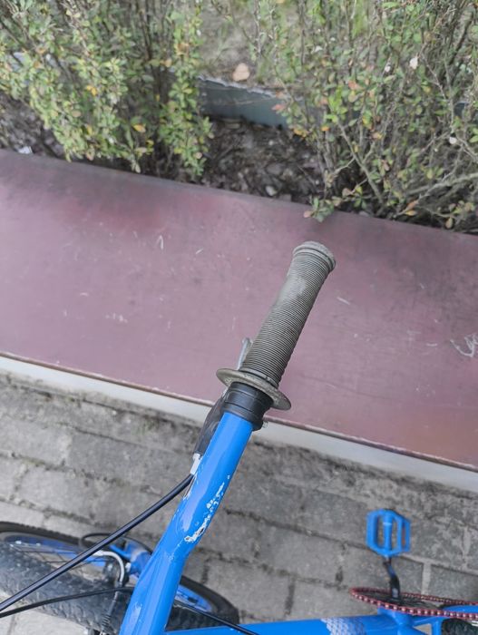 BMX Viper diamondback z pegami