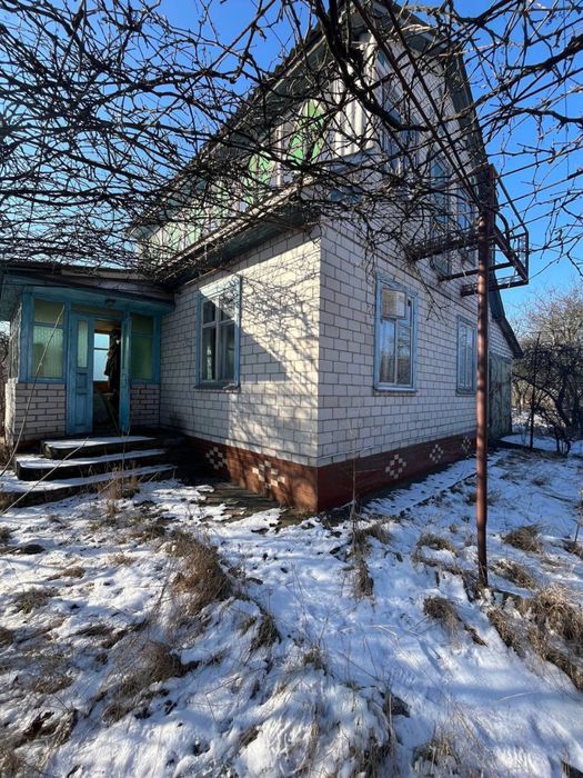 Дача з каміном біля Дніпра