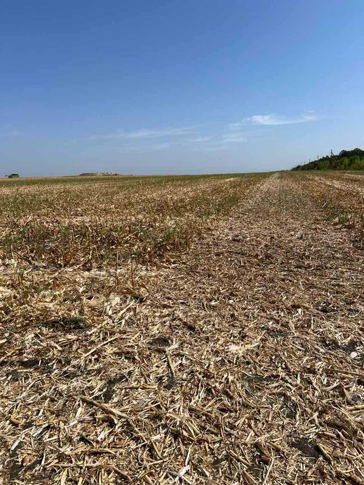 Мульчер універсальний Menasor 290 подрібнювач решток кукурудзи косилка