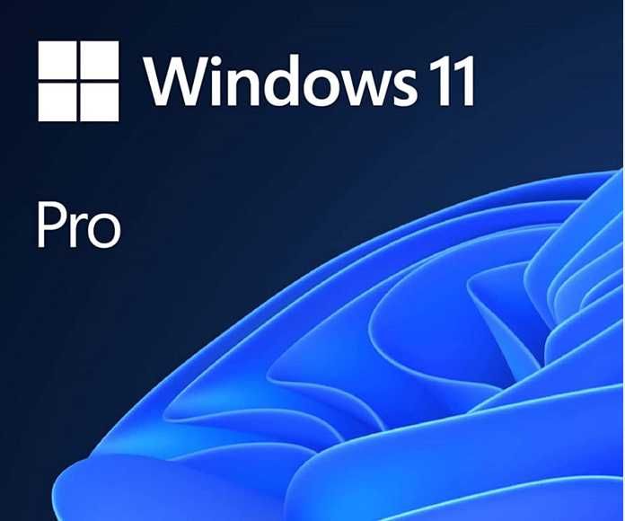 Windows 11 Pro / Windows 10 Pro ключ