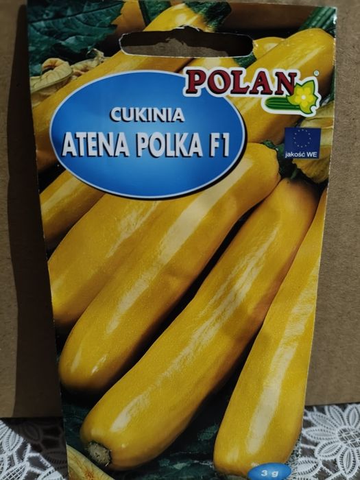 Cukinia Atena Polka F1