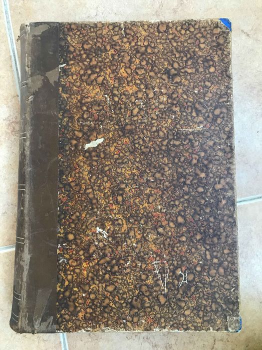 Obras completas de Almeida Garrett Theophilo Braga Volume I e II 1904