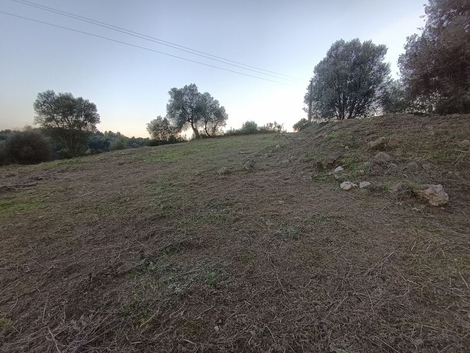 Serviço limpeza terreno/jardins