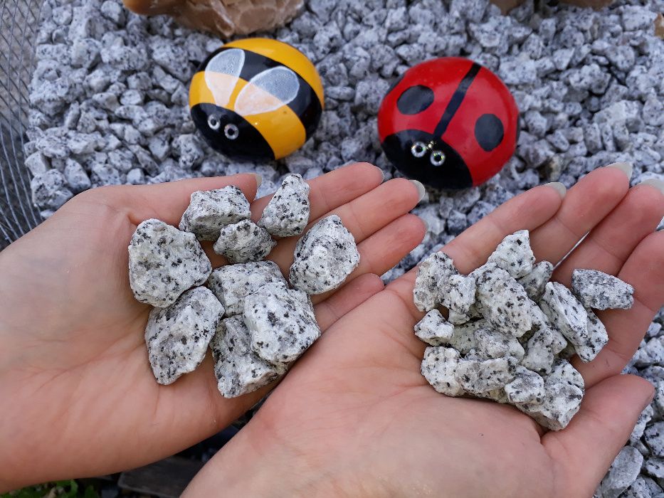 GRYS GRANITOWY Dalmatyńczyk 16-22 lub 8-16 Kurier Gratis